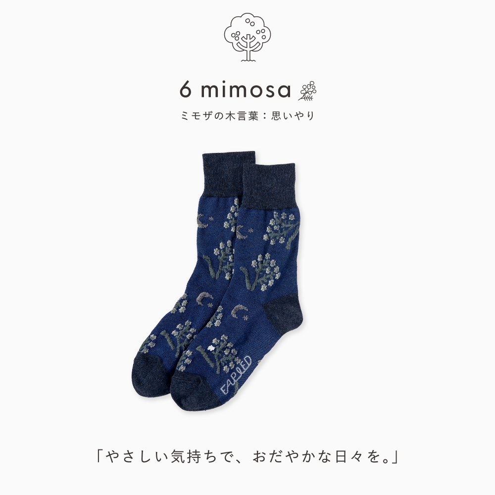 FAPIED_MEN'S&LADY'S_ソックス23-27cm_L-FASM_L-FASL
