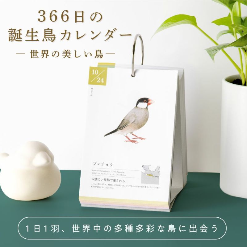 366日の誕生鳥ｶﾚﾝﾀﾞｰ_GTH-01