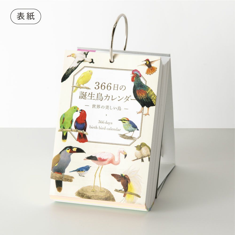 366日の誕生鳥カレンダー 世界の美しい鳥 日めくりカレンダー 卓上