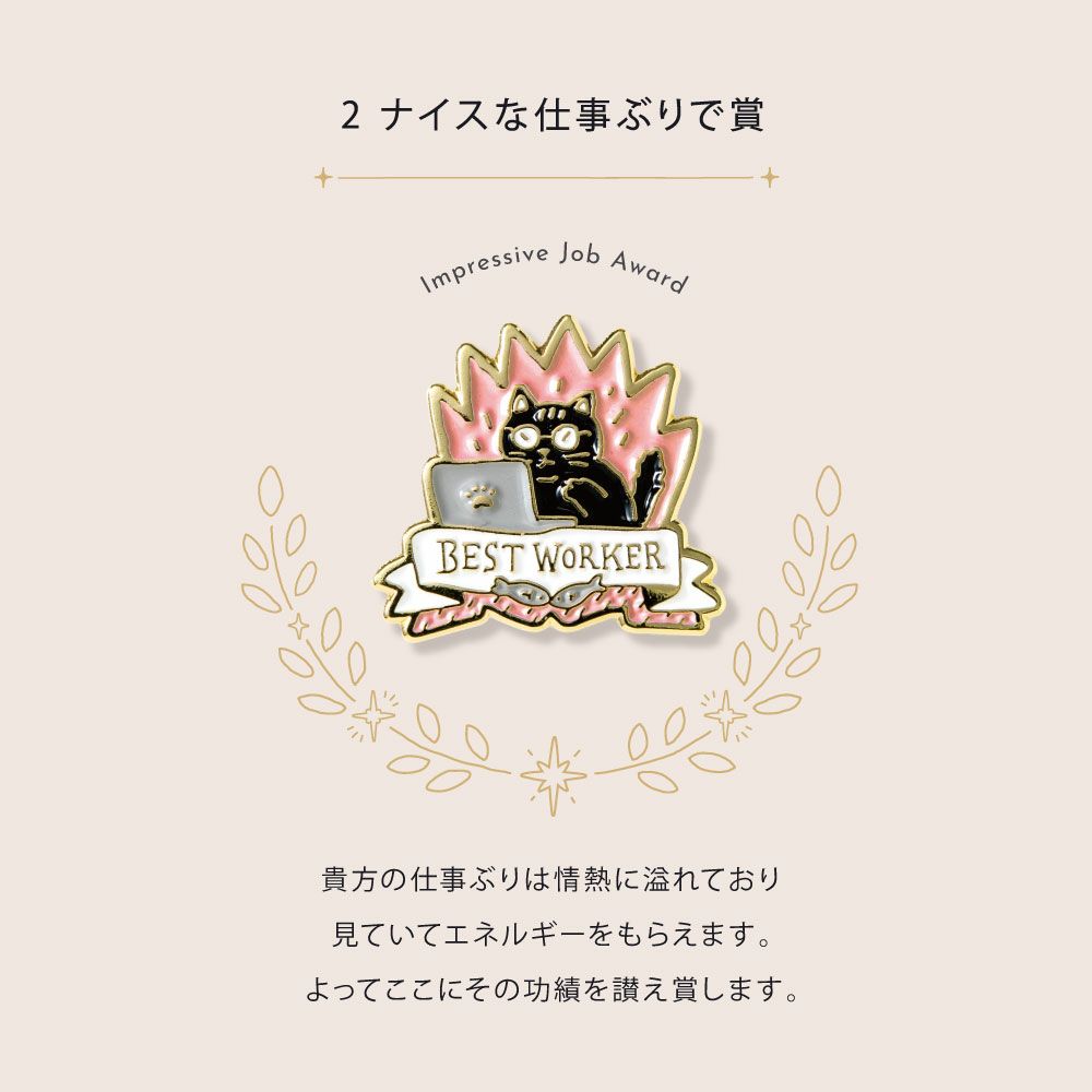 MY_AWARD_PiNS_GMAP