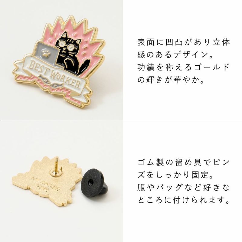 MY_AWARD_PiNS_GMAP