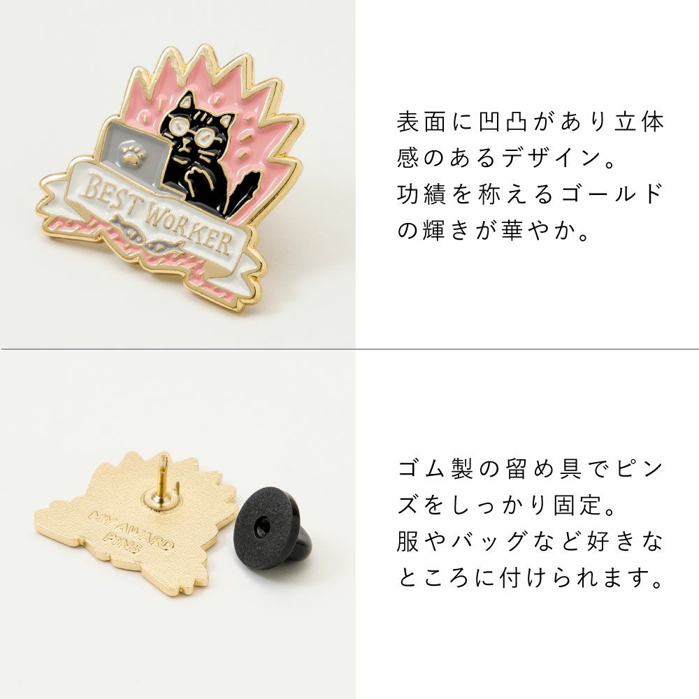 MY_AWARD_PiNS_GMAP