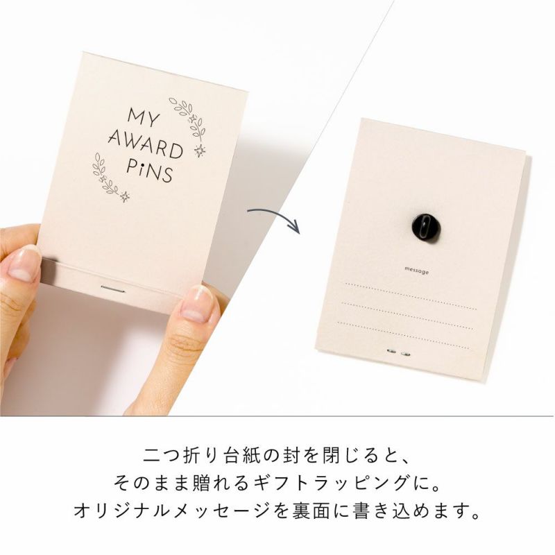 MY_AWARD_PiNS_GMAP