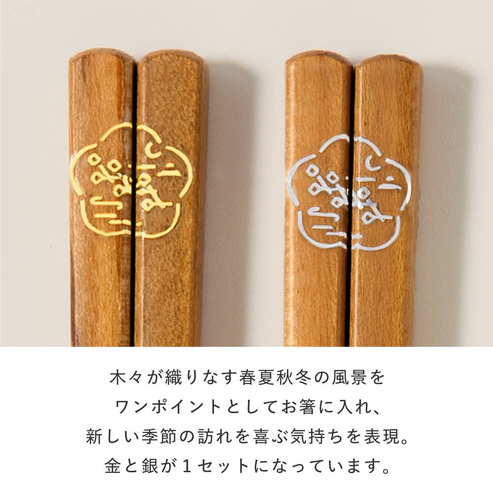 EC限四季木膳2S_L-GSKM-2S