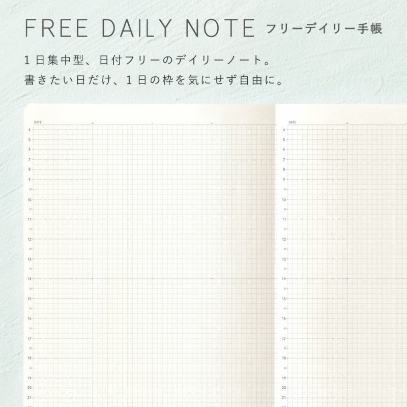 EC限ｻﾆｰSB_本体_2026/01_F_L-LSH-2601F