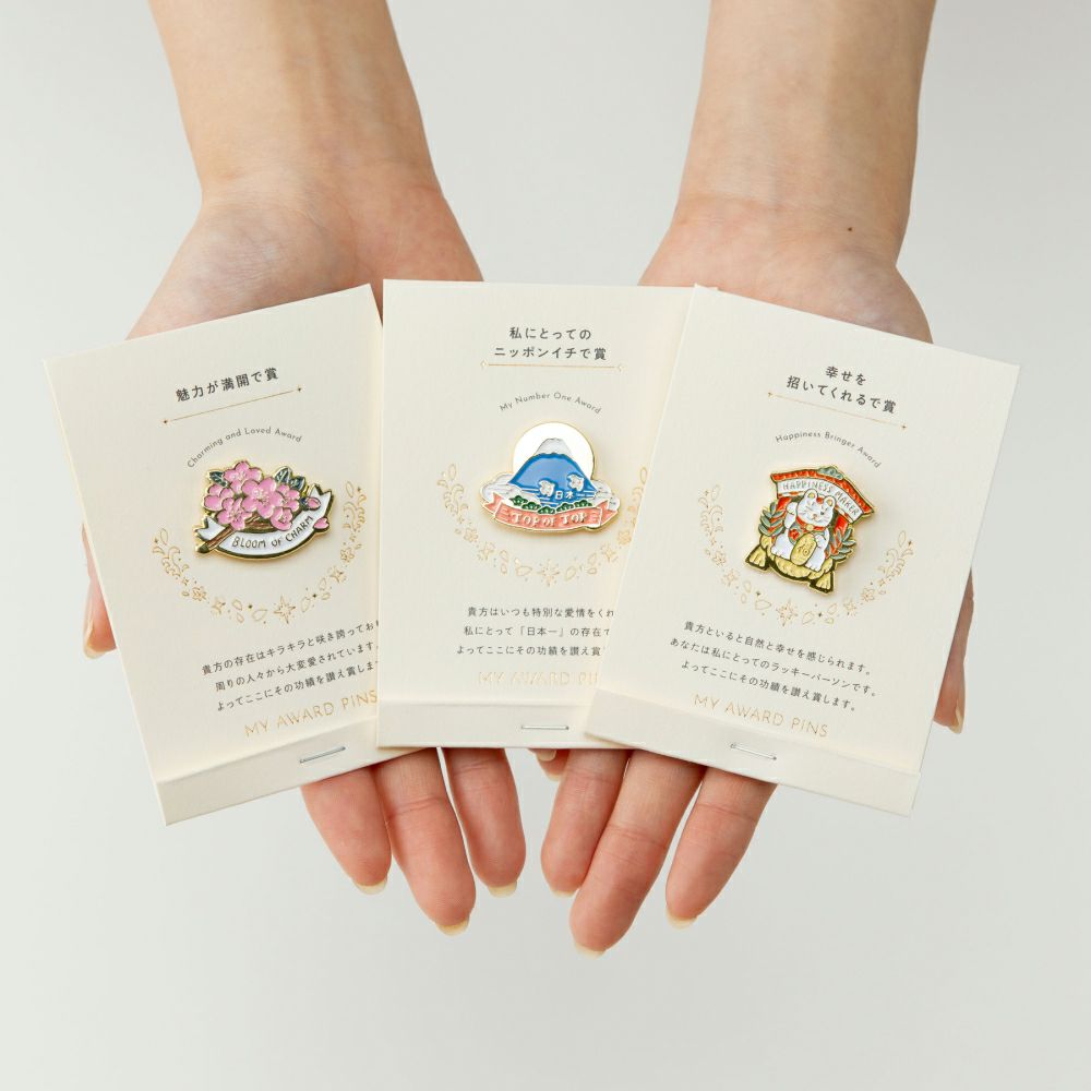 MY_AWARD_PiNS_JPN_GMAP-J