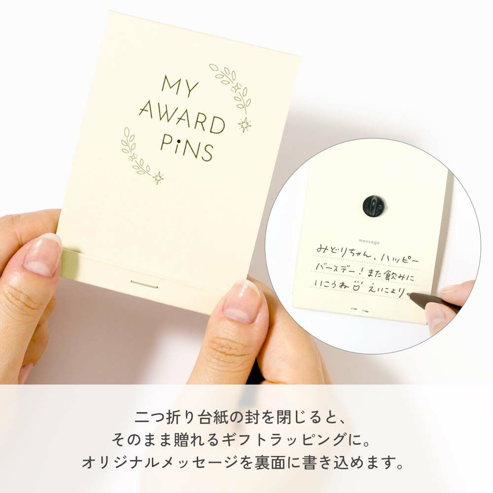 MY_AWARD_PiNS_JPN_GMAP-J